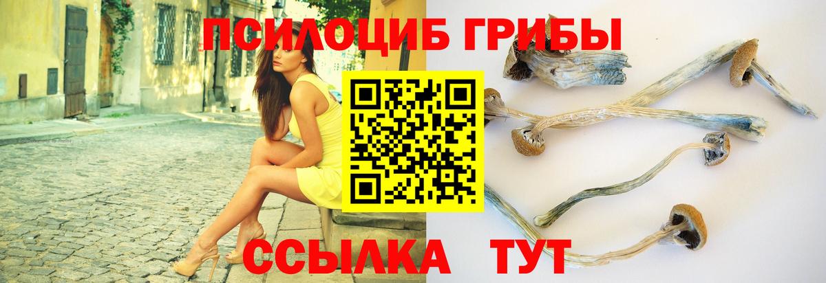 Галлюциногенные грибы мухоморы  Псилоцибиновые грибы GOLDEN TEACHER  Бор  Вход с VPN 
